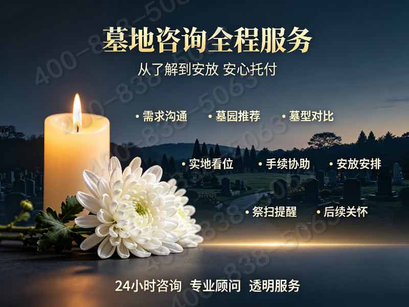 桃峰陵园抗寒绿植全覆盖 四季常绿园区稳定美观：打造生态和谐殡葬环境